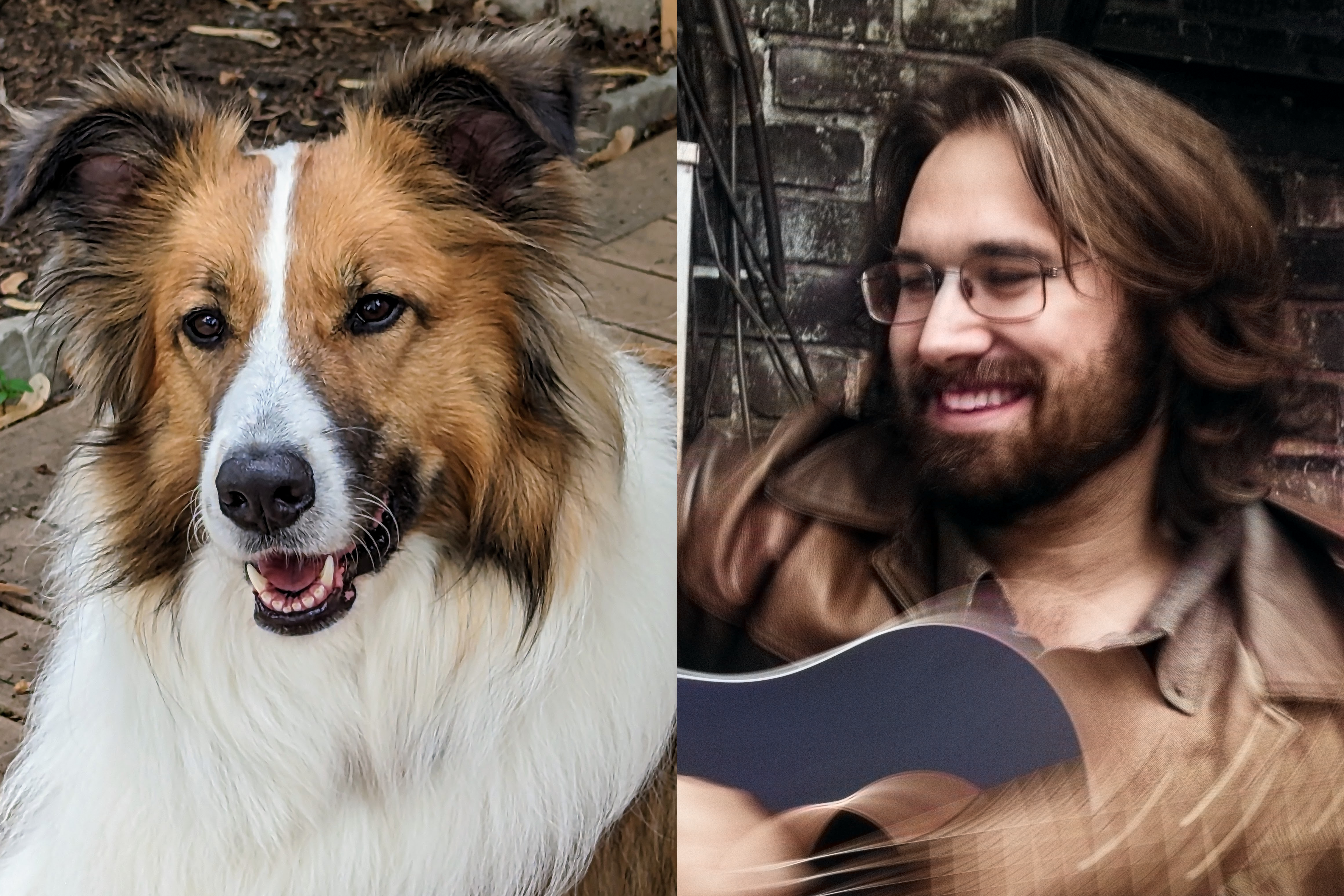 Pet Duets! with Taylor James Donskey feat. Greta